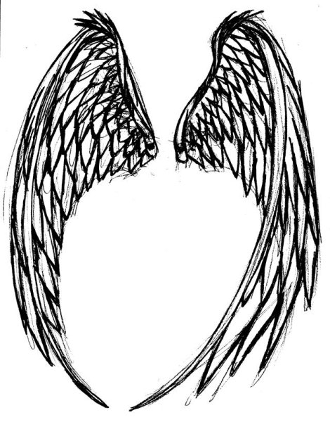 Крылья набросок