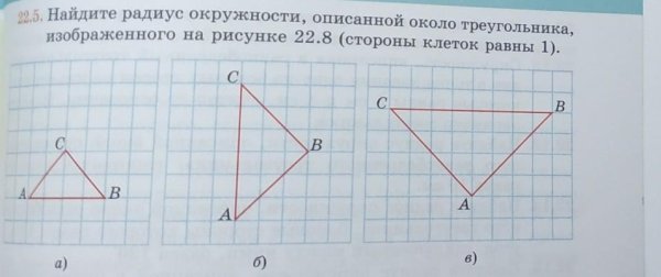 Сколько отрезков с концами изображено на рисунке