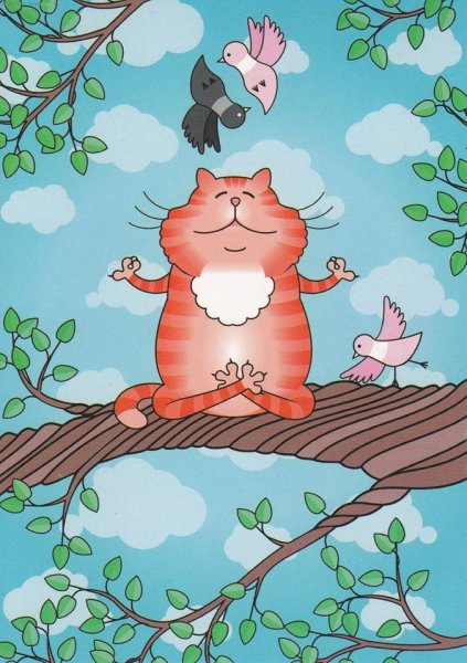 Котенок медитирует