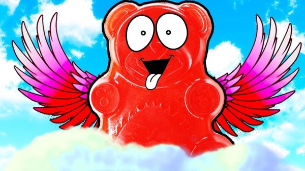 Валеражилейный медведь