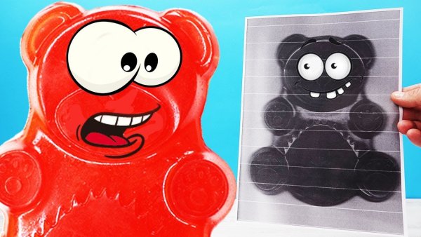 ЖЕЛЕЙНЫЙ медведь Валерка и Паша