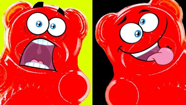 Познаватель и ЖЕЛЕЙНЫЙ медведь Валера