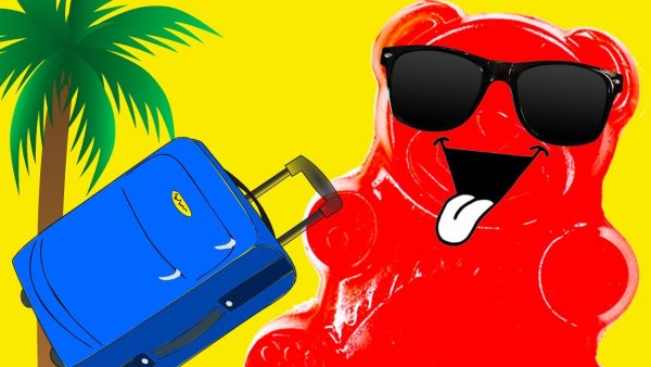 ЖЕЛЕЙНЫЙ медведь Варела