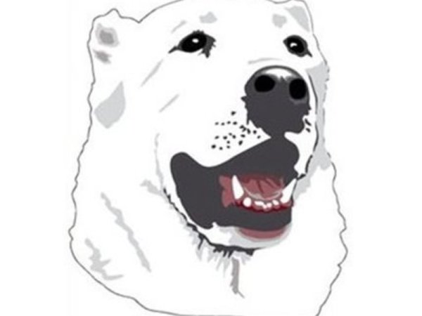 Контур алабая