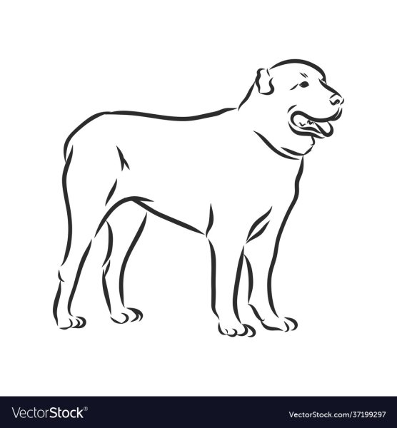 Алабай рисунок