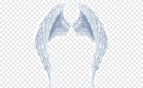 Крылья и нимб ангела