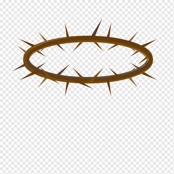 Терновый венец символ христианства