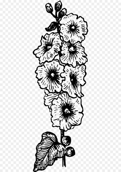 Мальвы Сьюзен Борден