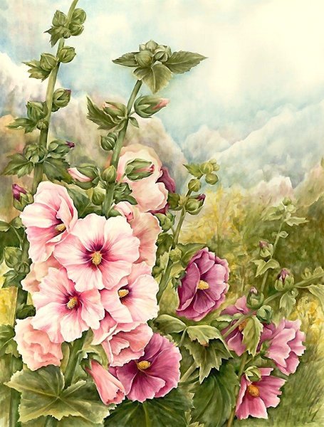 Панна Акварельная Мальва