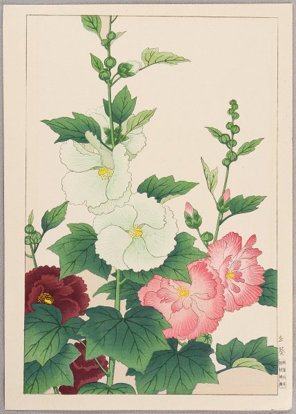 Веточка мальвы