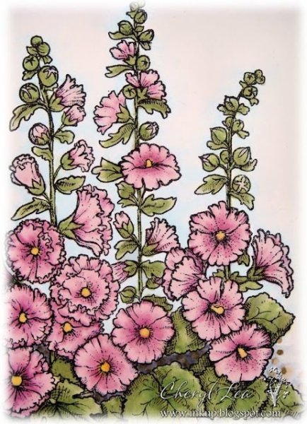 Мальвы Сьюзен Борден