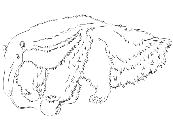 Муравьед силуэт