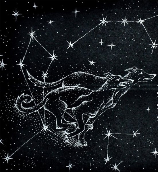 Созвездие гончий пес