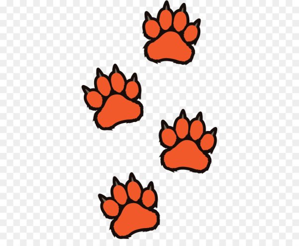 Отпечаток лапы лисы