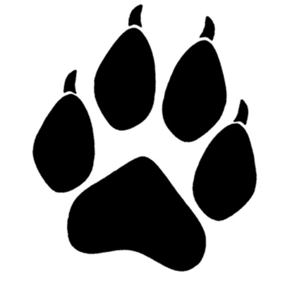 Лапы Волков референс