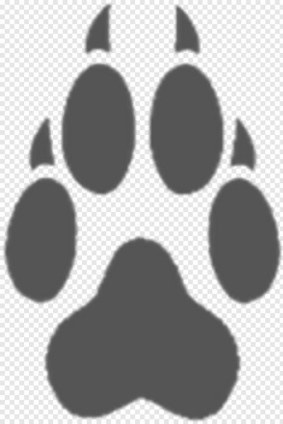 Отпечаток лапы лисы