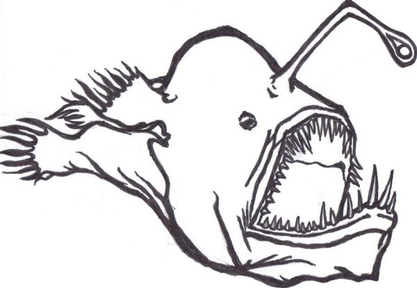 Рыба удильщик контур