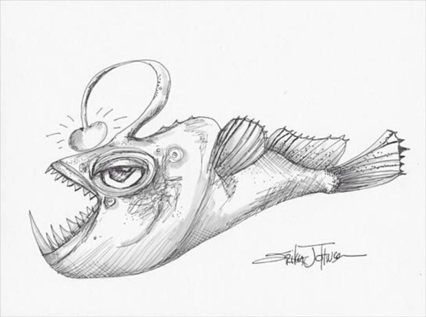 Рыба удильщик гравюра