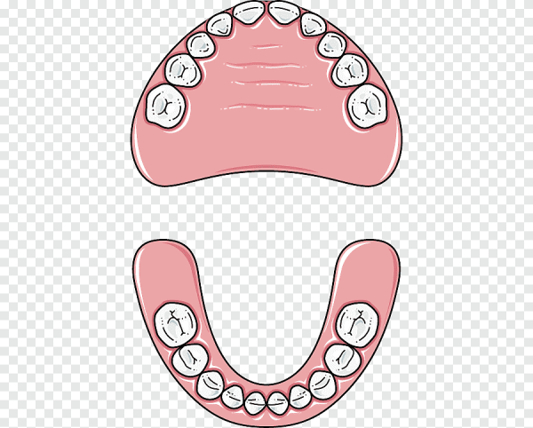 Нарисовать зуб