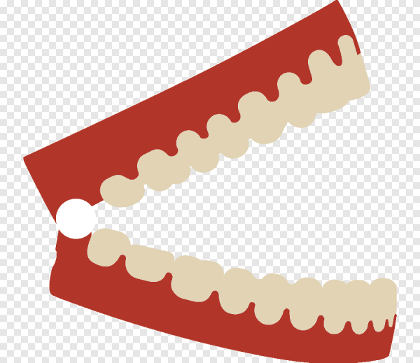 Кривая Шпее ортодонтия