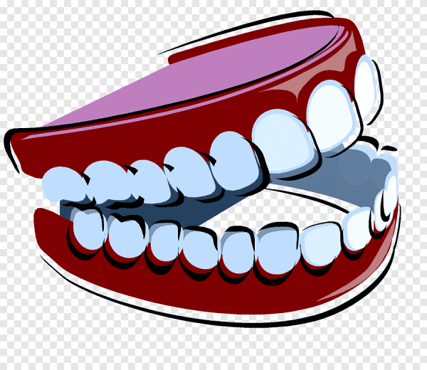 Зарисовка зуба