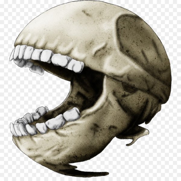 Челюсть вектор