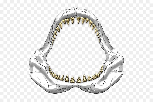 Челюсть эскиз