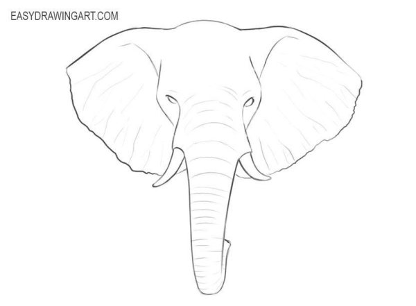 Нарисовать голову слона