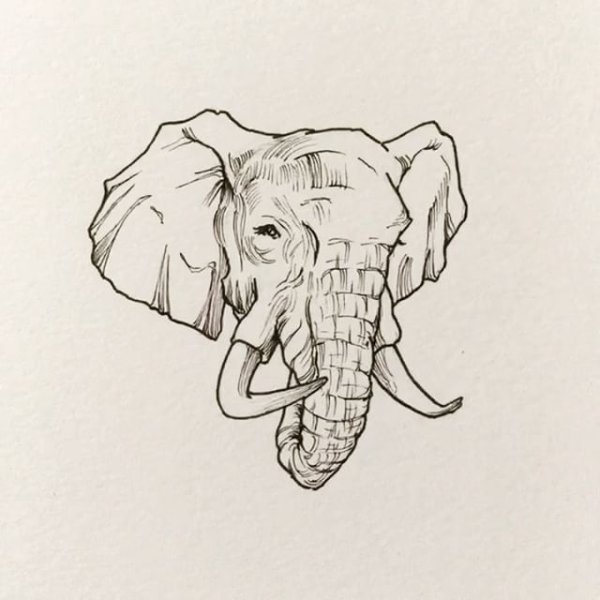 Изображение головы слона