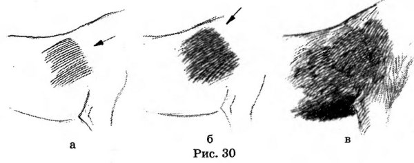 Штриховка шерсти животных