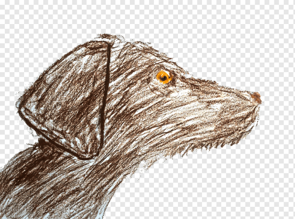 Собачья шерсть рисунок