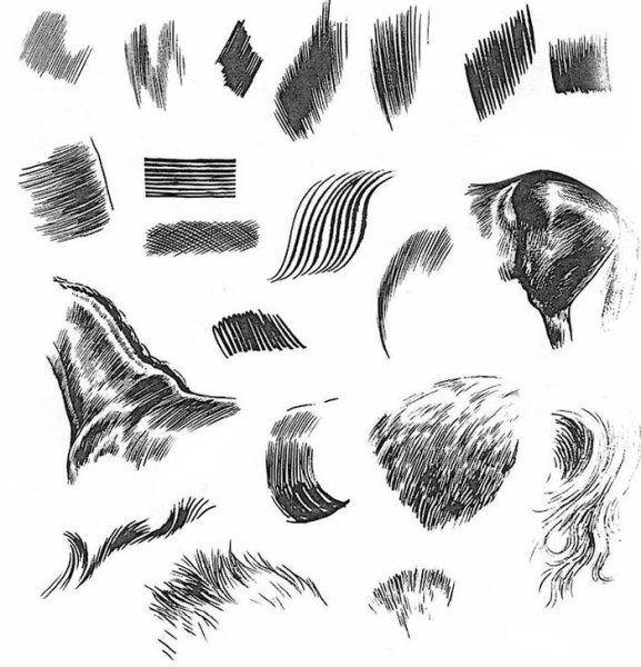 Шерсть карандашом