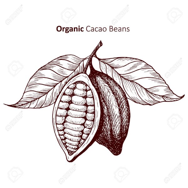 Какао Бобы тату