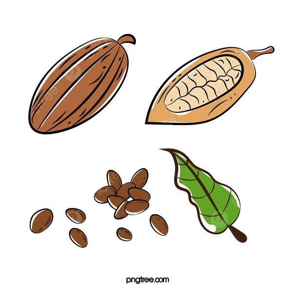 Какао Боб вектор контур