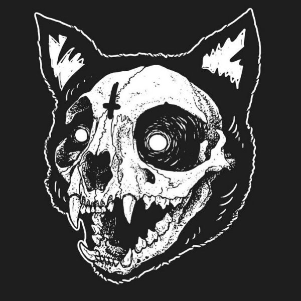 Череп кошки рисунок