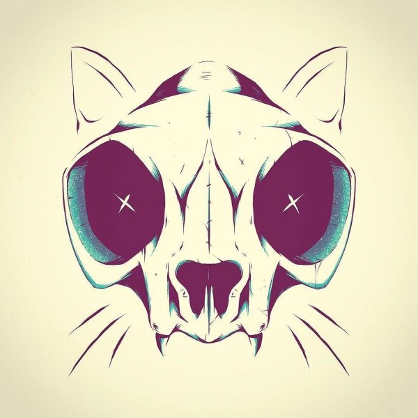 Кошачий череп арт