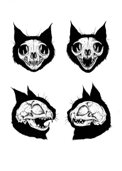 Череп кошки тату