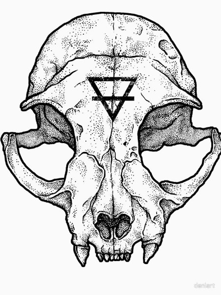 Черепа животных тату