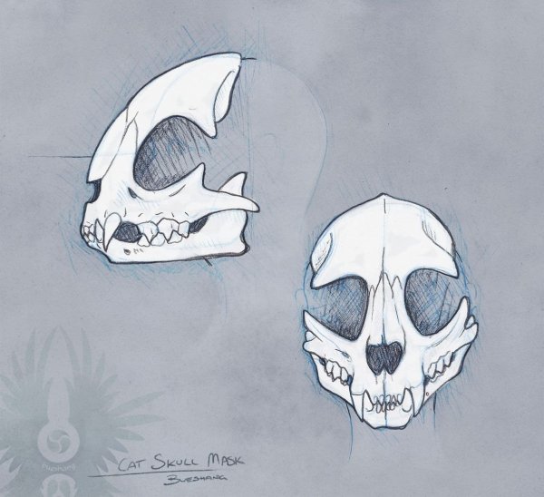 Череп кошки скетч