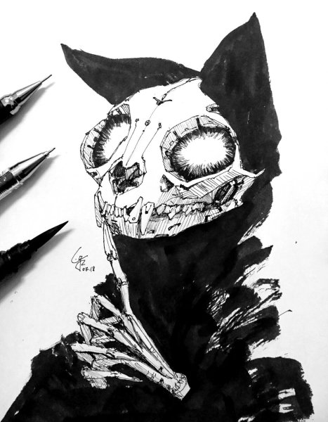 Череп кота скетч