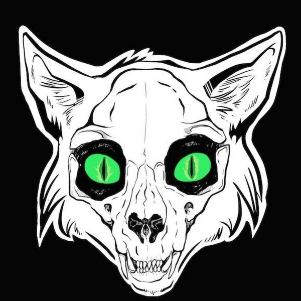 Череп кота арт