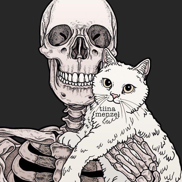 Скелет с котиком