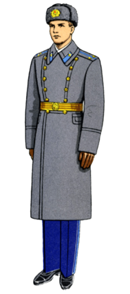 Пальто Бурда в стиле милитари