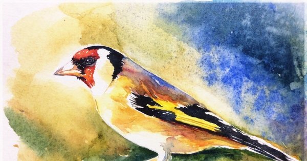 Птица щегол акварель