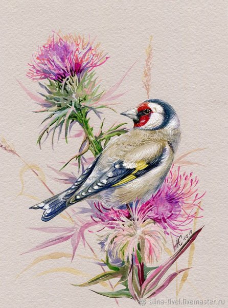 Птица щегол акварель