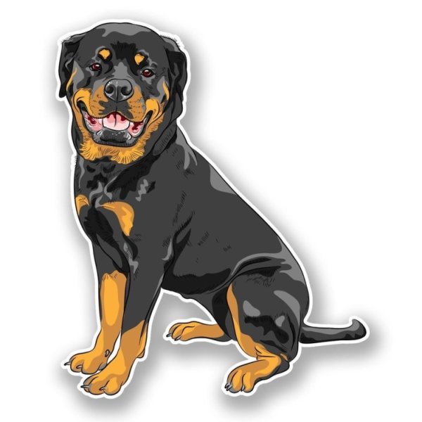 Нарисовать ротвейлера