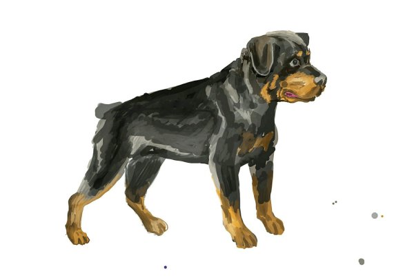 Джон ротвейлер