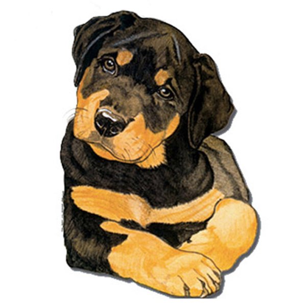 Ротвейлер карандашом