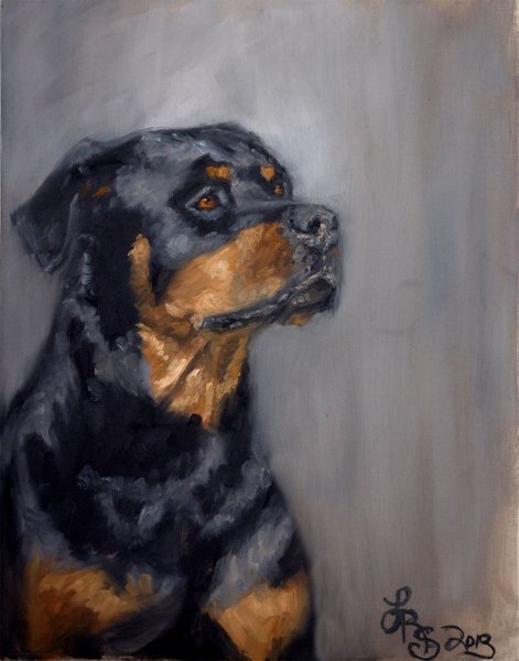 Ротвейлер портрет