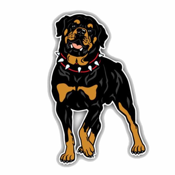 Ротвейлер картина